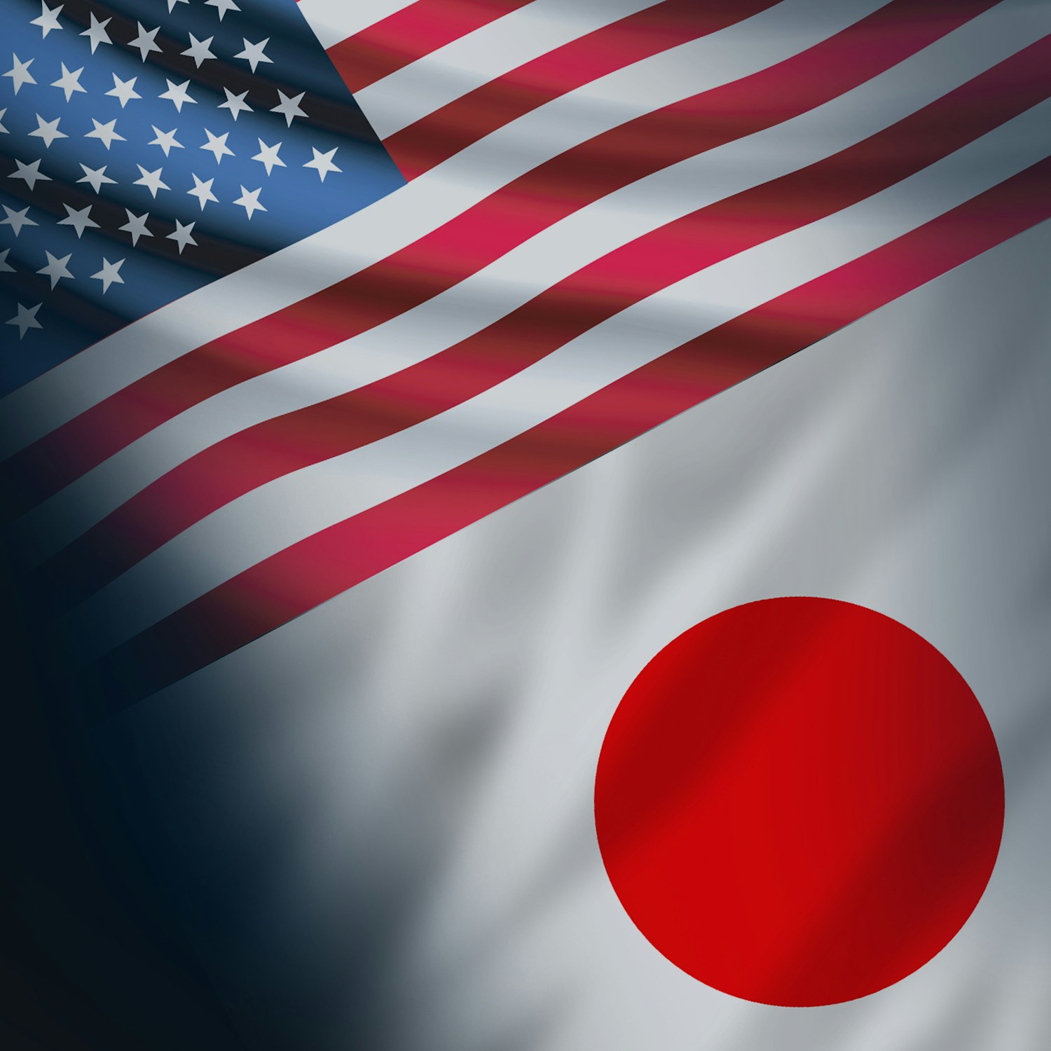 Flexus LP with American and Japanese flags 2000x2000