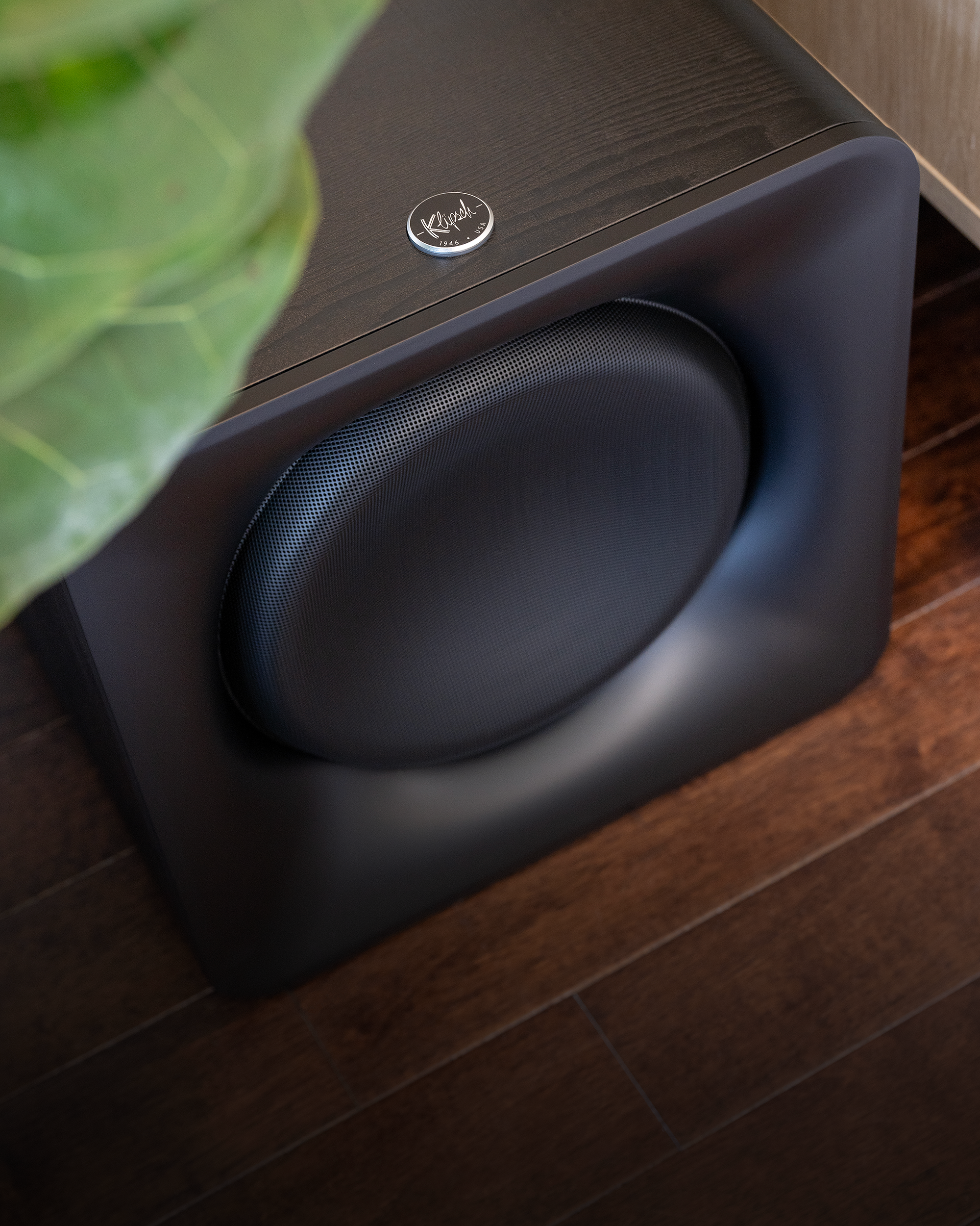 Flexus SUB 100 Beside Fiddle Leaf Fig 2000x2500