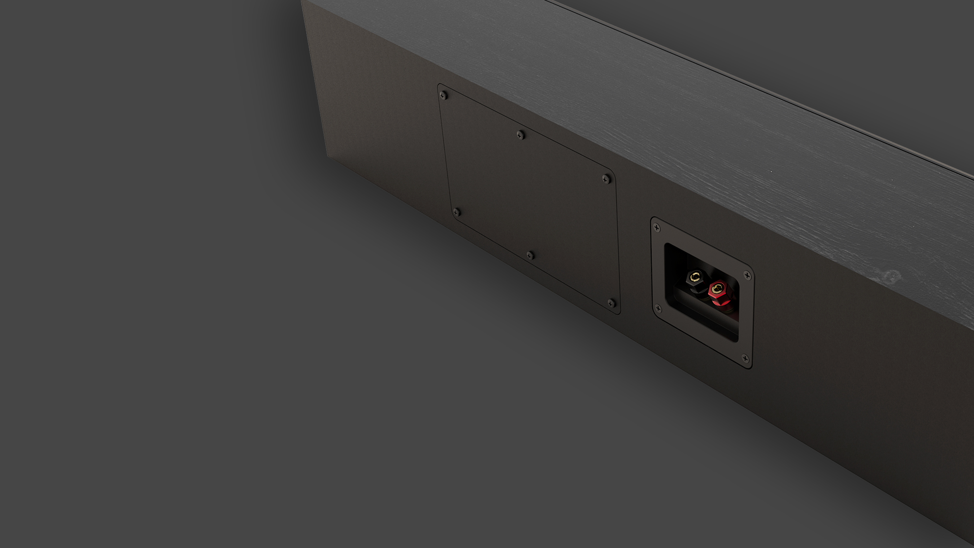 RP 404 C II rear angle showcasing the sealed cabinet design