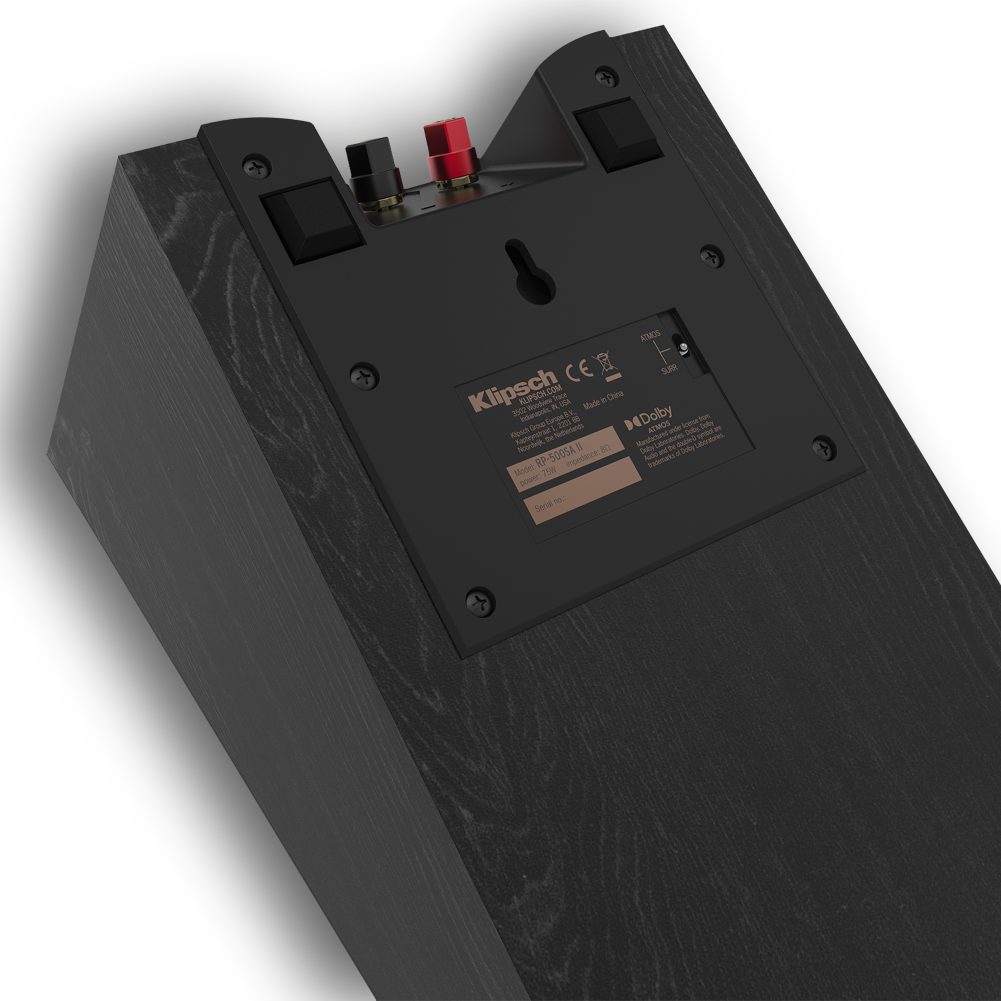 RP 500 SA II closeup of rear panel with switchable crossover mobile